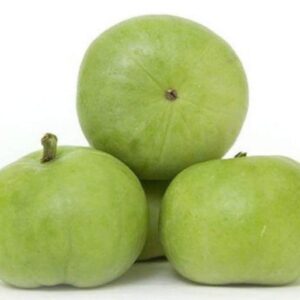 Apple Gourd - TINDA Seeds