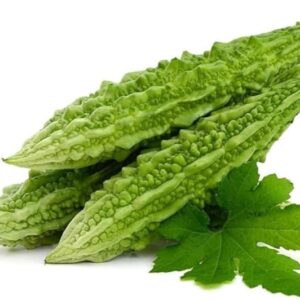 Bitter Gourd Long Seeds, F1 Hybrid کریلا لمبا