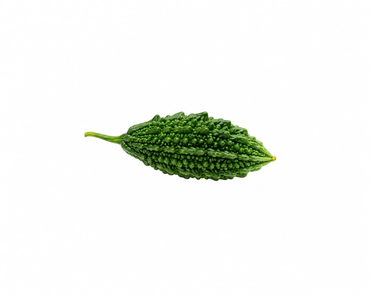 Bitter Gourd Seeds (Desi Karela) دیسی کریلا