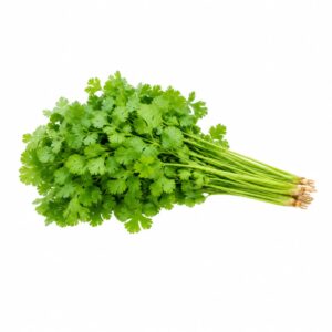 Coriander Seeds - Desi Dhaniya دیسی دھنیا