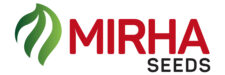 mirhaseed.com